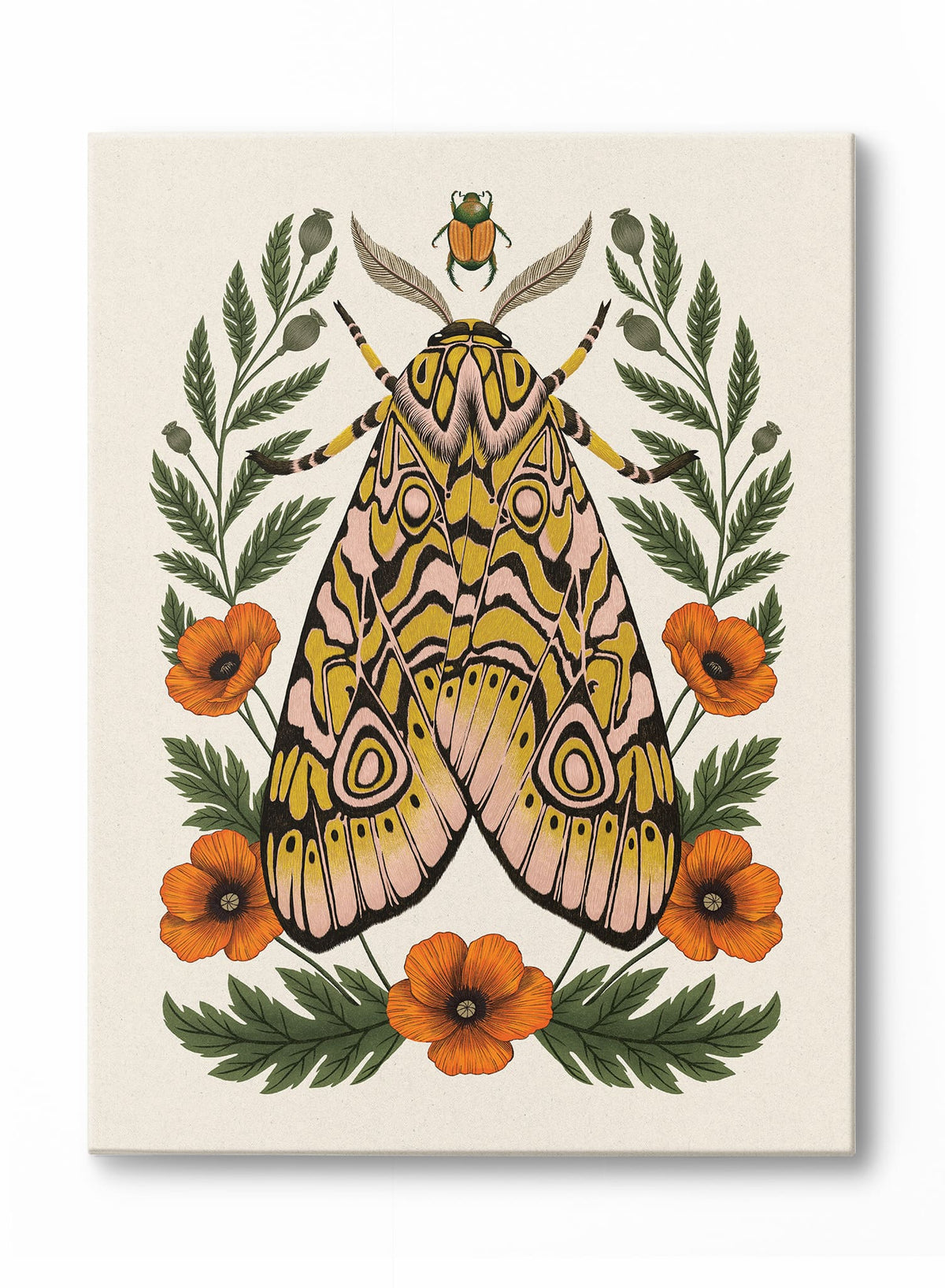 Papillon de nuit matinal, Affiche