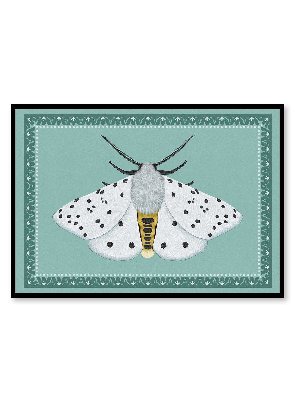 Minty Moth, Poster