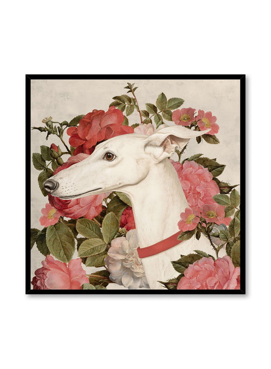 Rosie the Greyhound, Poster