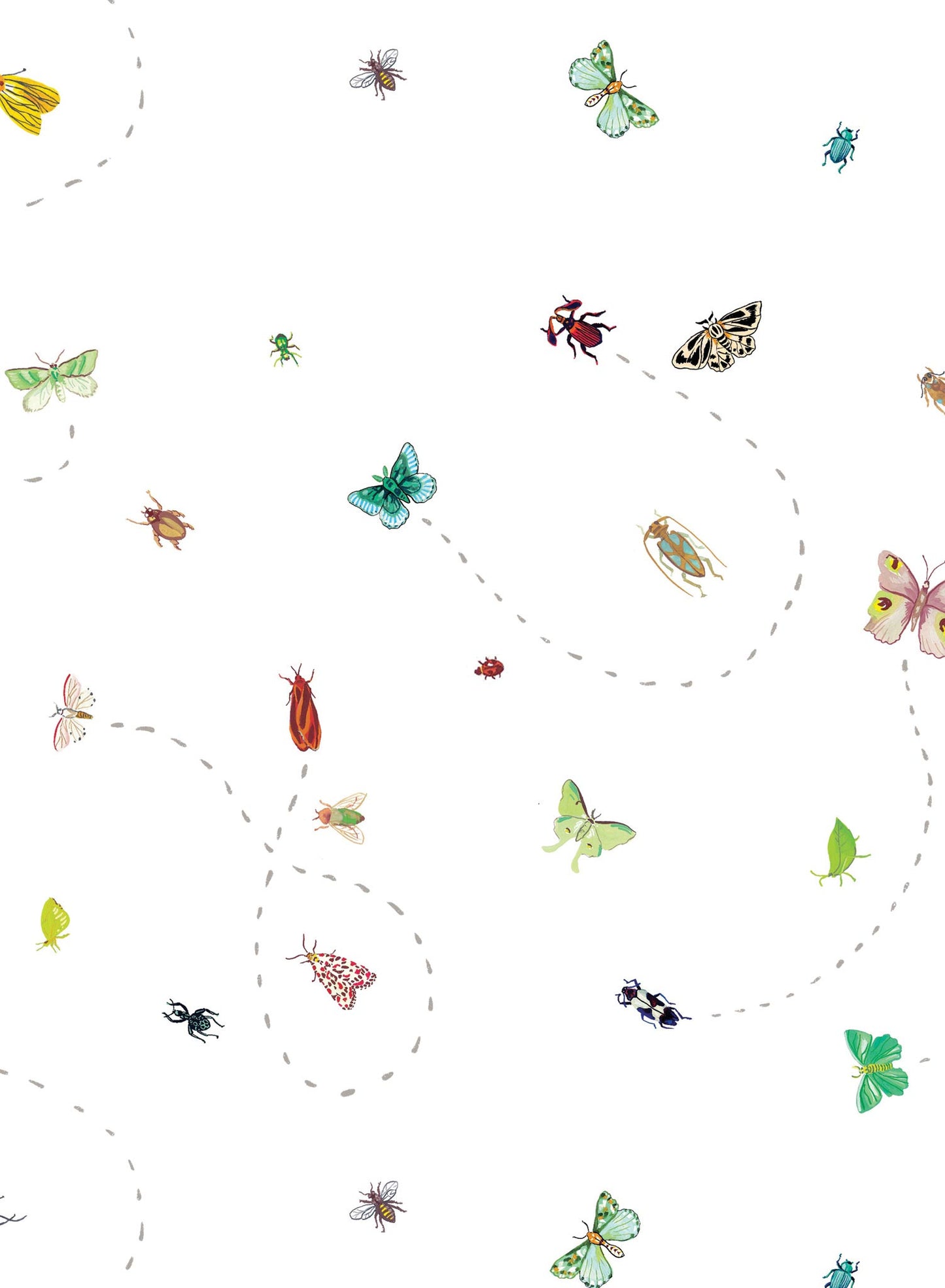 Itsy Bitsy is a Minimalist wallpaper by Opposite Wall of their favourite bugs.