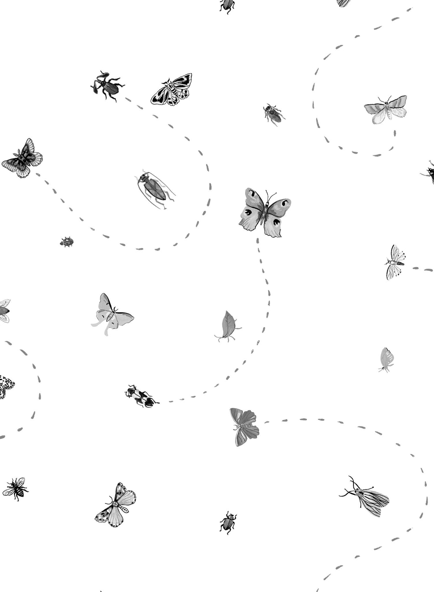 Itsy Bitsy is a Minimalist wallpaper by Opposite Wall of their favourite bugs.