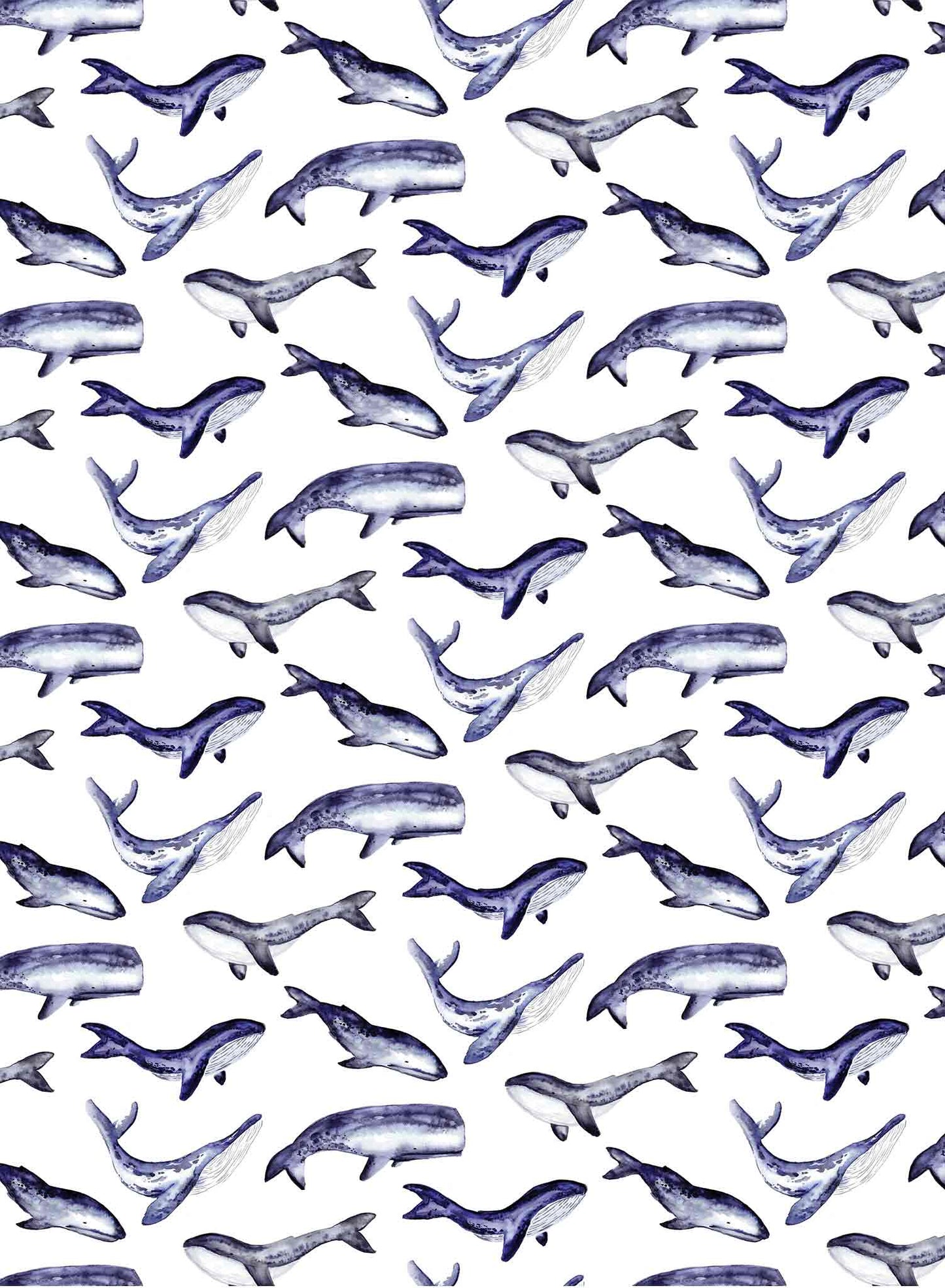 Whale Tale is a minimalist wallpaper by Opposite Wall of a collection of various whale types.