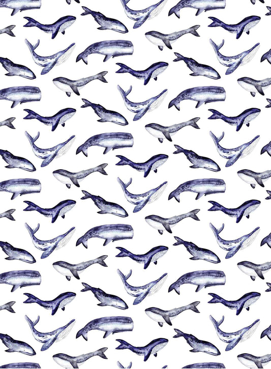 Whale Tale is a minimalist wallpaper by Opposite Wall of a collection of various whale types.