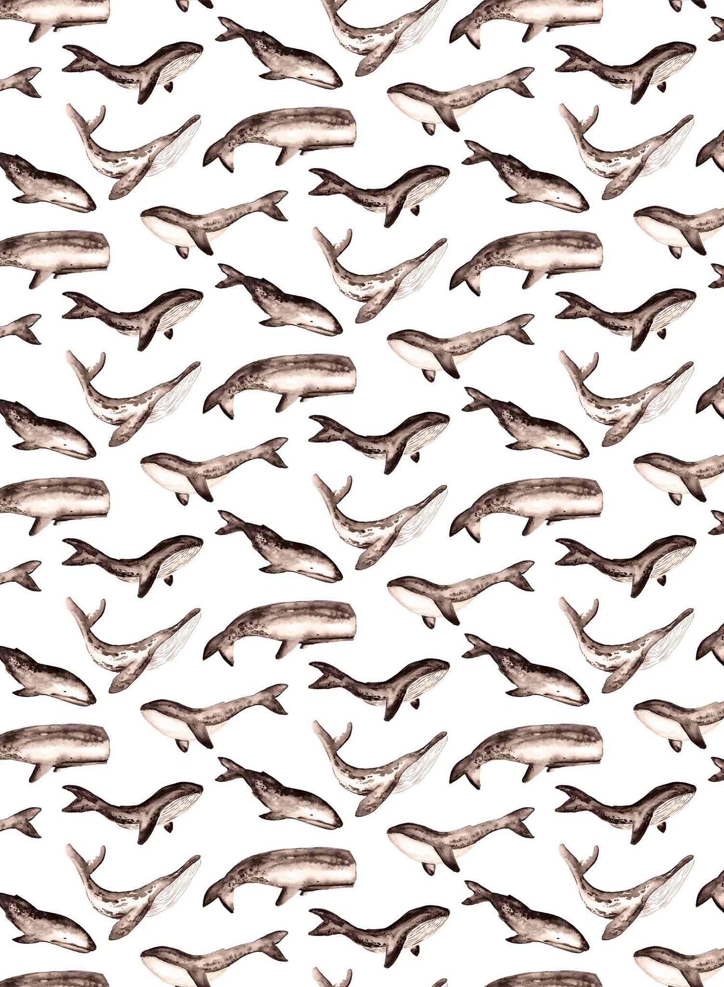 Whale Tale is a minimalist wallpaper by Opposite Wall of a collection of various whale types.