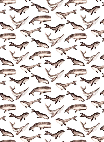 Whale Tale is a minimalist wallpaper by Opposite Wall of a collection of various whale types.