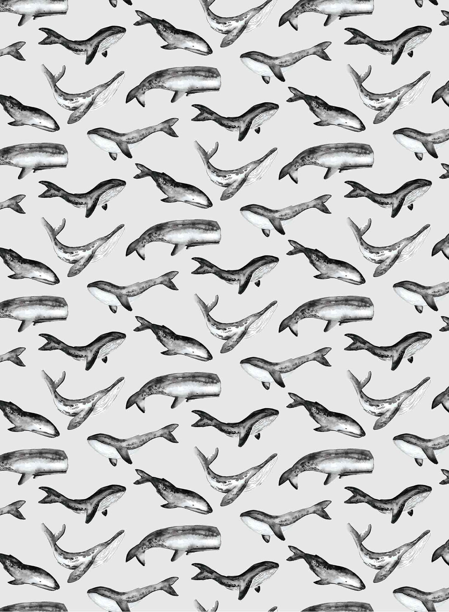 Whale Tale is a minimalist wallpaper by Opposite Wall of a collection of various whale types.