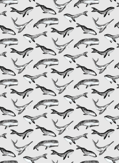 Whale Tale is a minimalist wallpaper by Opposite Wall of a collection of various whale types.