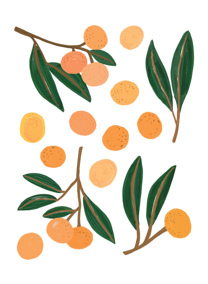 Tangerine Tango, Decal