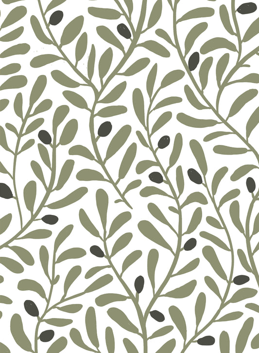 Olive Tree, Wallpaper