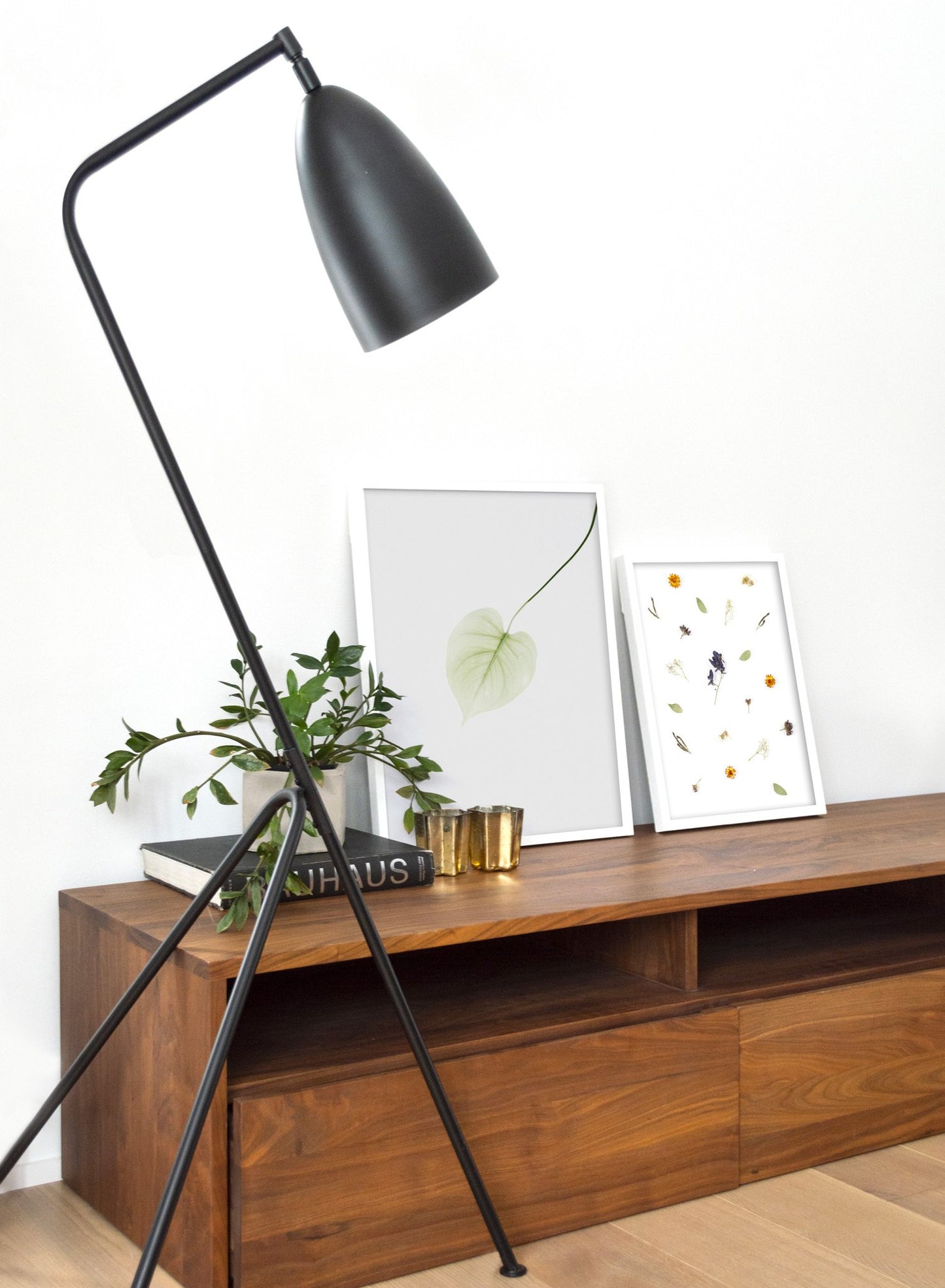 Pothos Leaf modern minimalist photography poster by Opposite Wall - Living Room