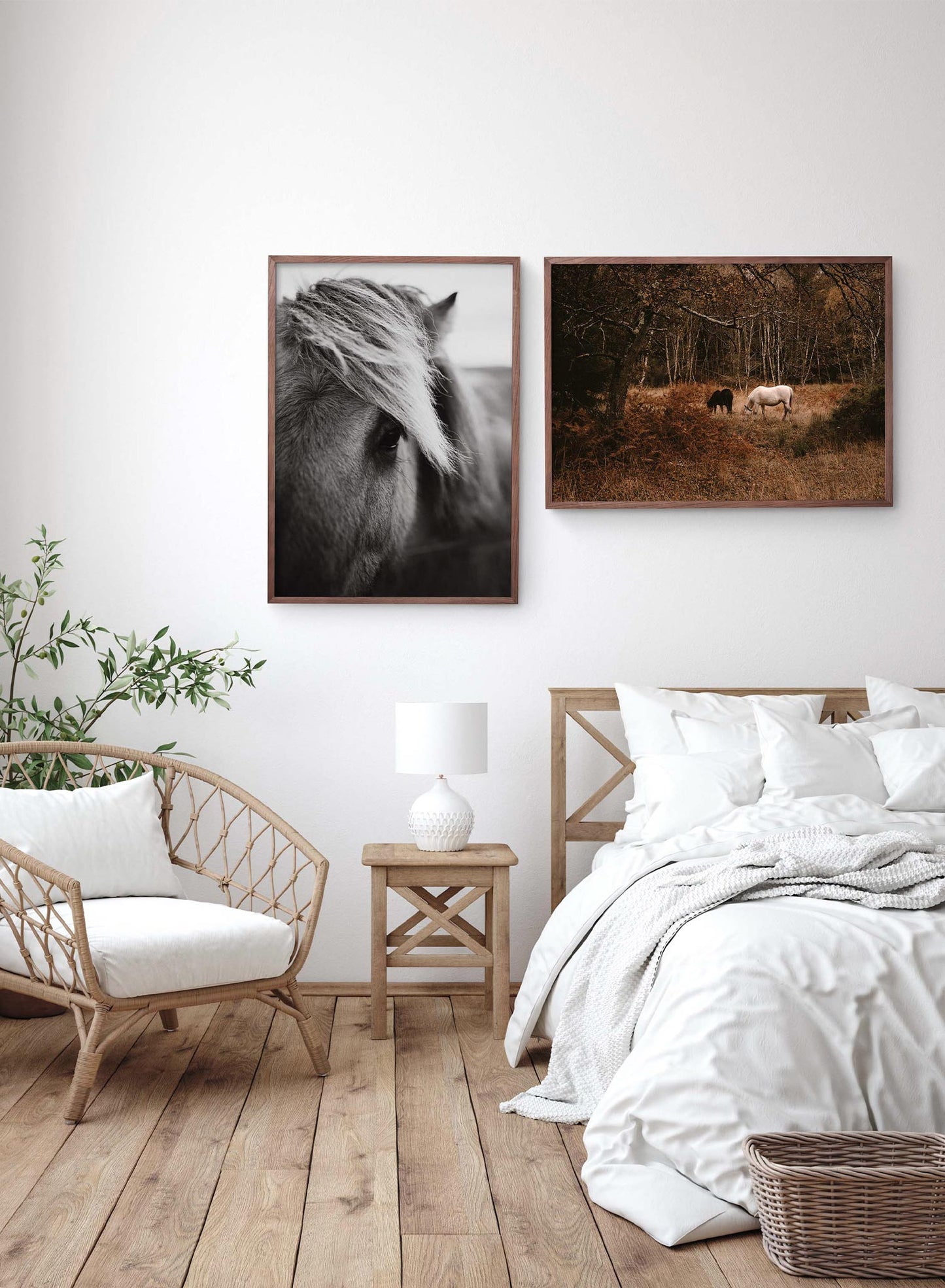 Mustang is a minimalist photography by Opposite Wall of two horses; one white and one black, eating dry grass in the forest. 