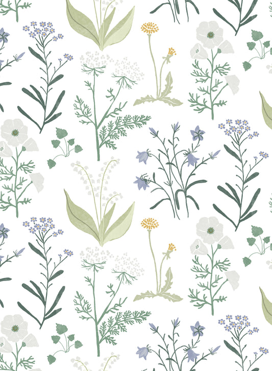 Wildflowers, Wallpaper