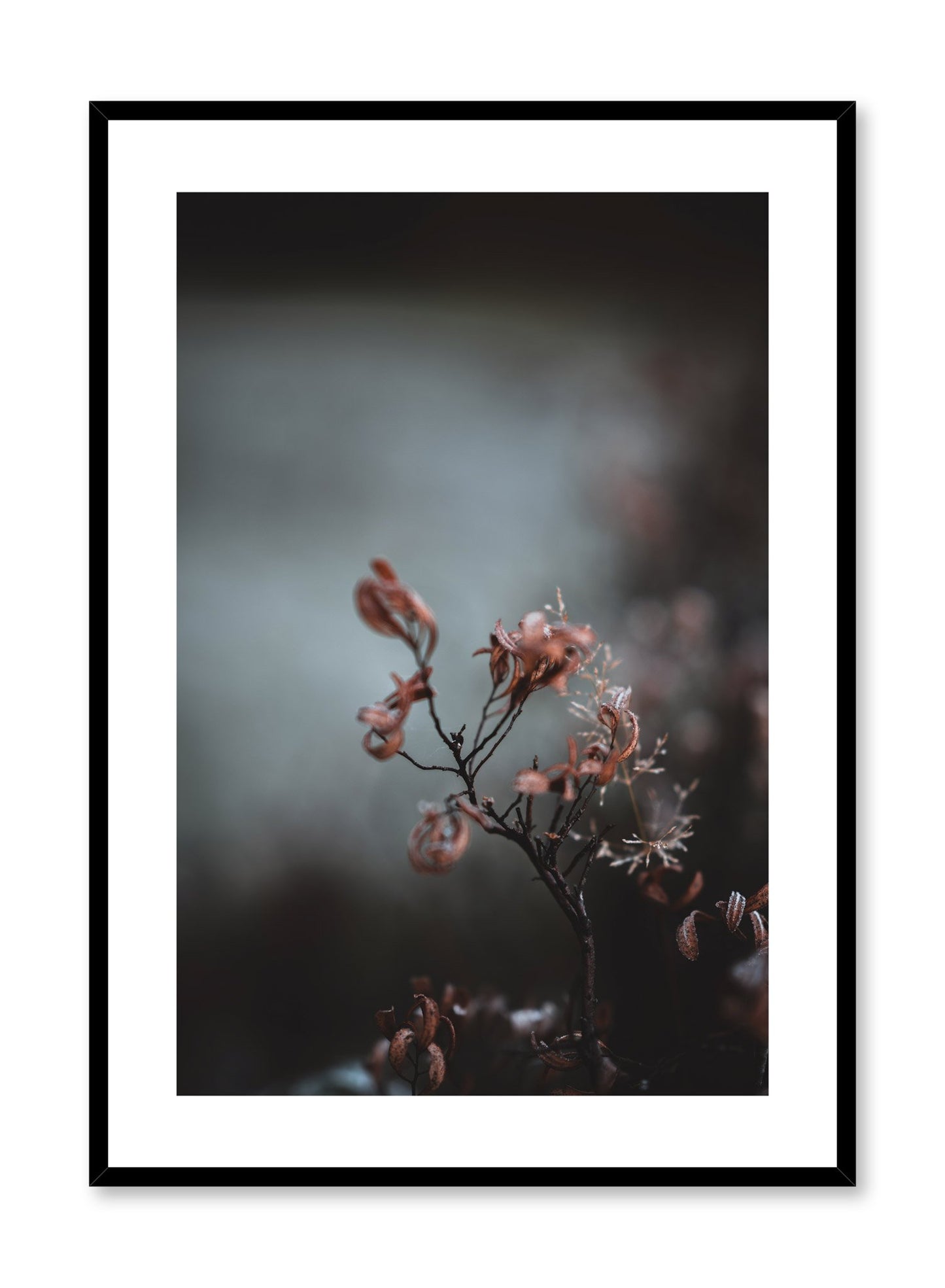 Scandinavian art print by Opposite Wall with delicate flower art photo