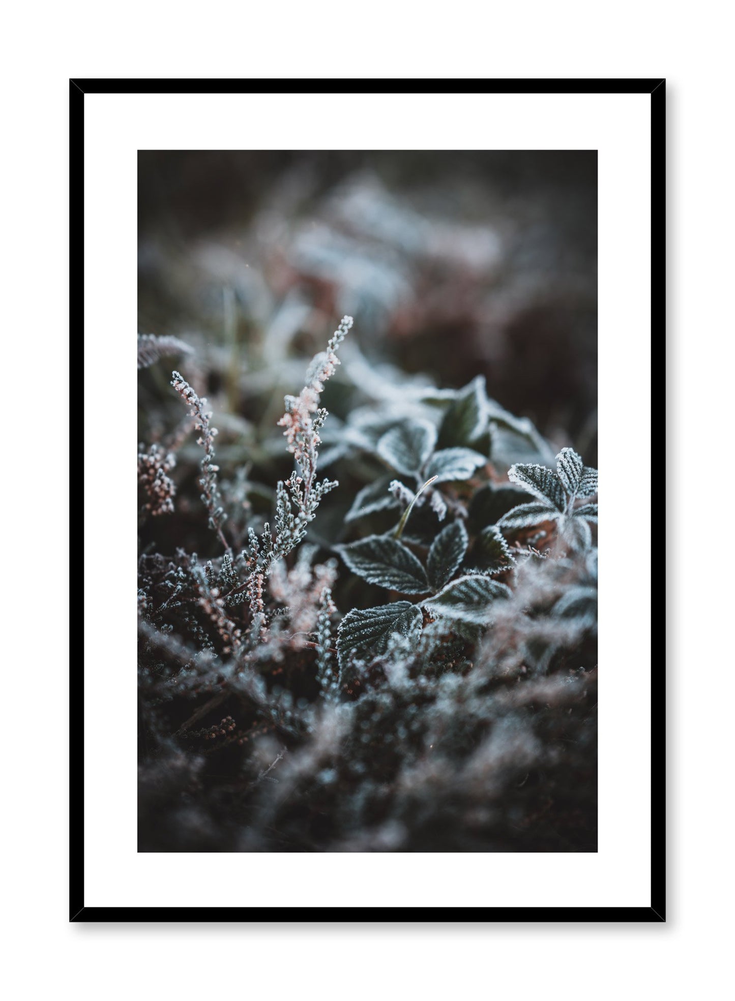 Scandinavian art print by Opposite Wall with winter flower art photo