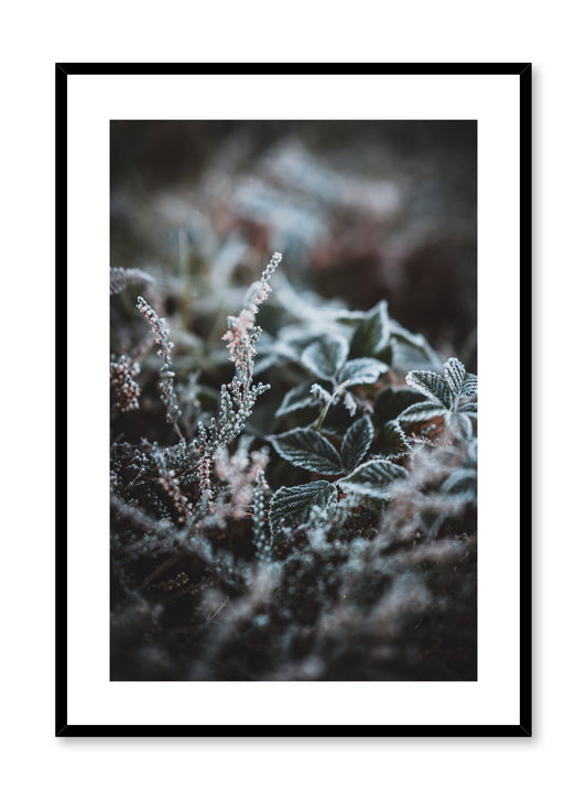 Scandinavian art print by Opposite Wall with winter flower art photo