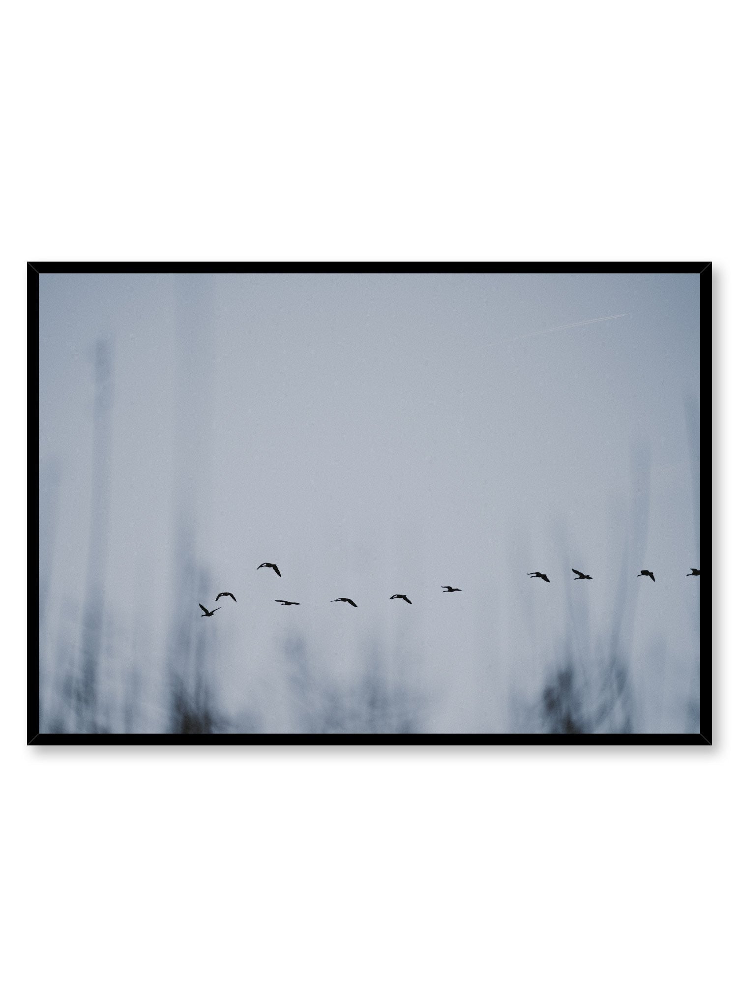 Minimalist design poster by Opposite Wall with Flying Bird Formation photography