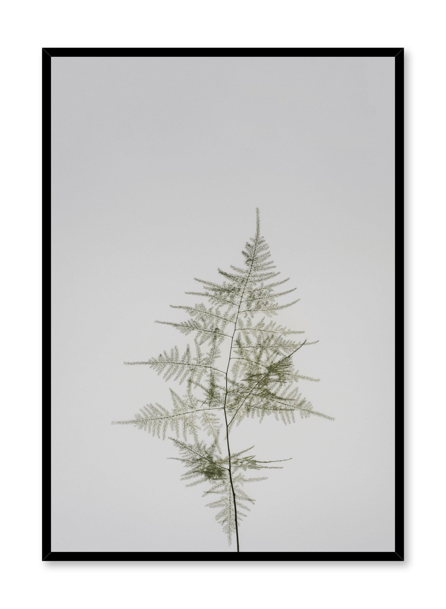 Minimalist design poster by Opposite Wall with Young Fern photography