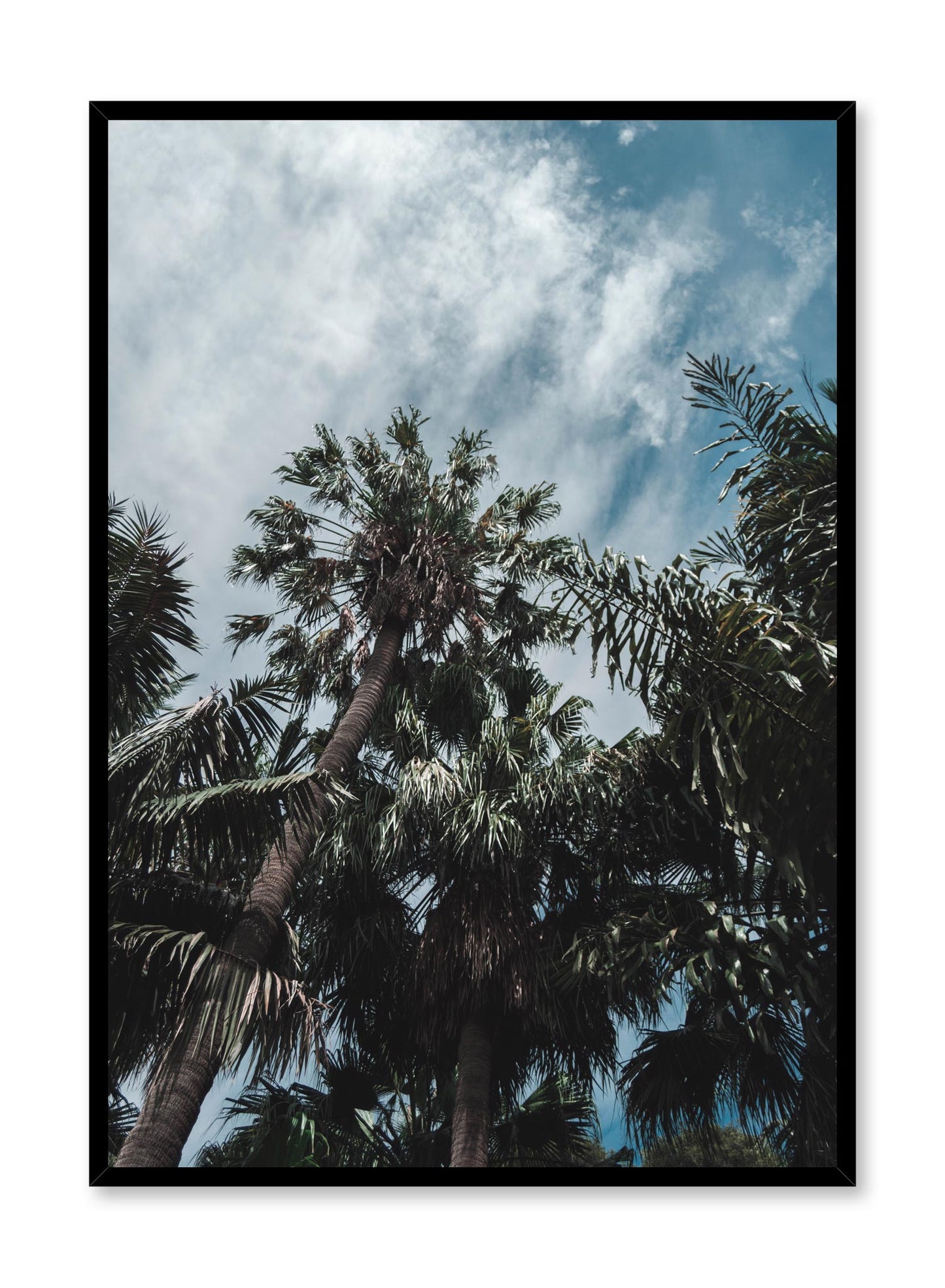 Minimalist design poster by Opposite Wall with palm tree photography