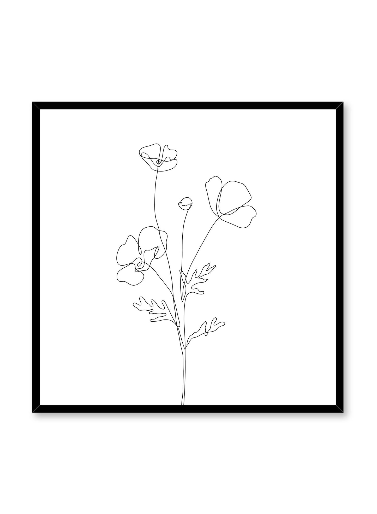 Minimalist design poster by Opposite Wall with line art drawing of poppy in square format