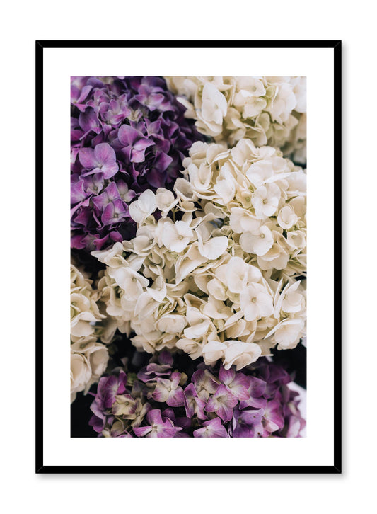 Minimalistic wall poster by Opposite Wall with Purple Hydrangeas floral photography