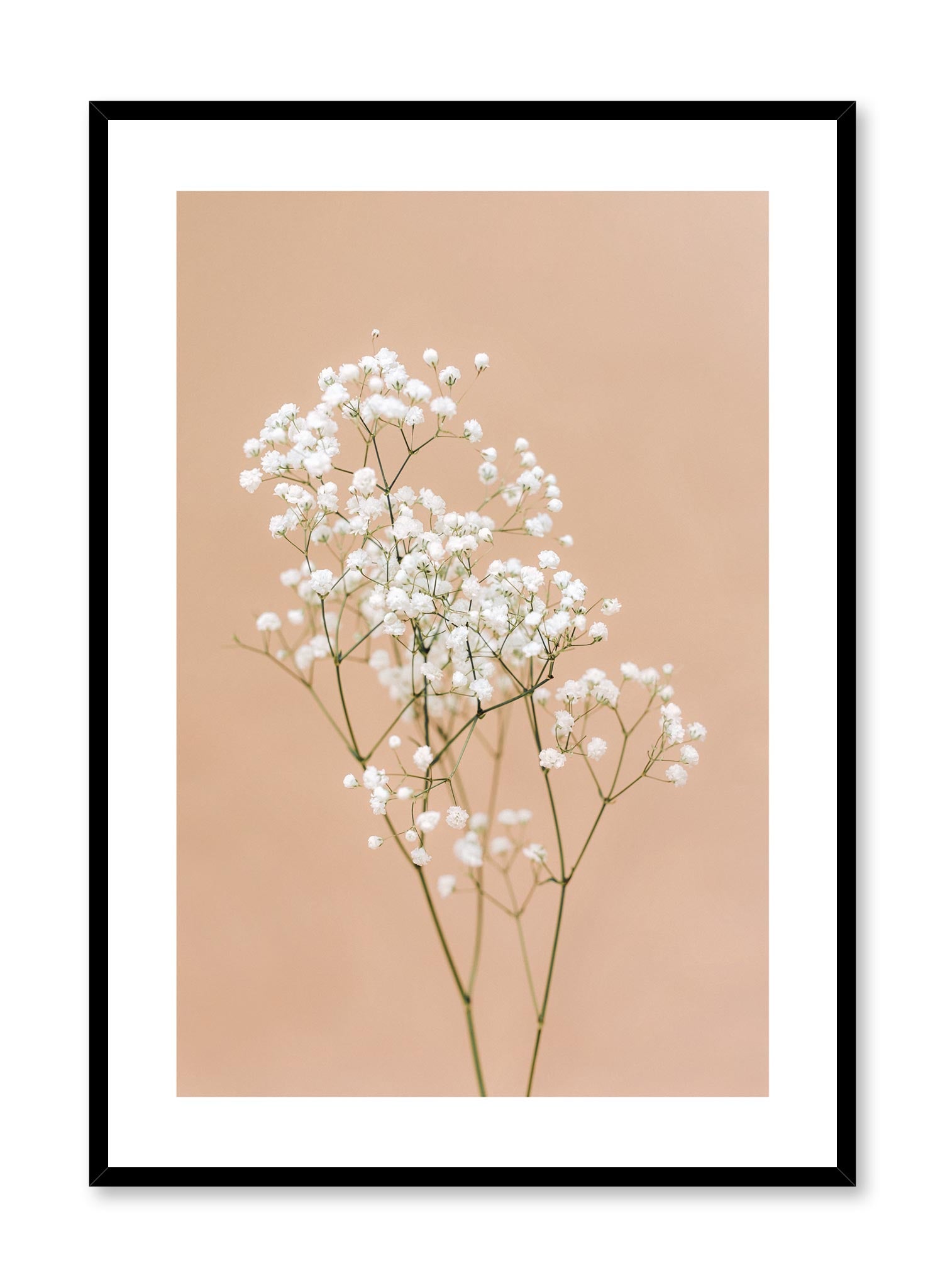 Minimalistic wall photography by Opposite Wall with Baby's Breath flower