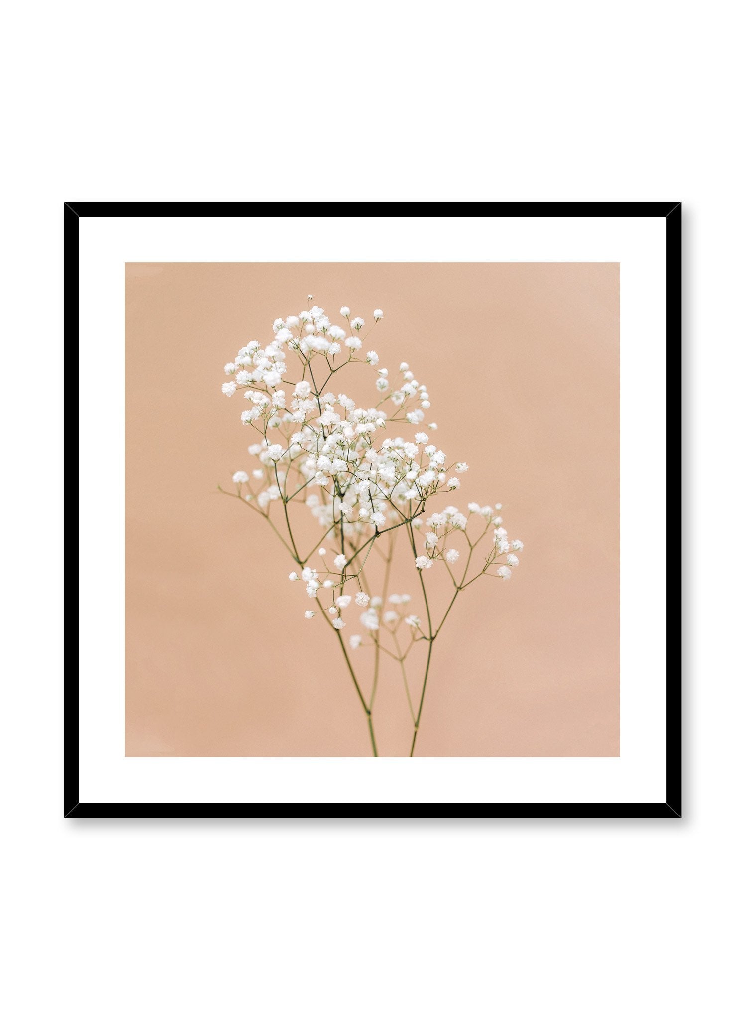 Minimalistic wall photography by Opposite Wall with Baby's Breath flower