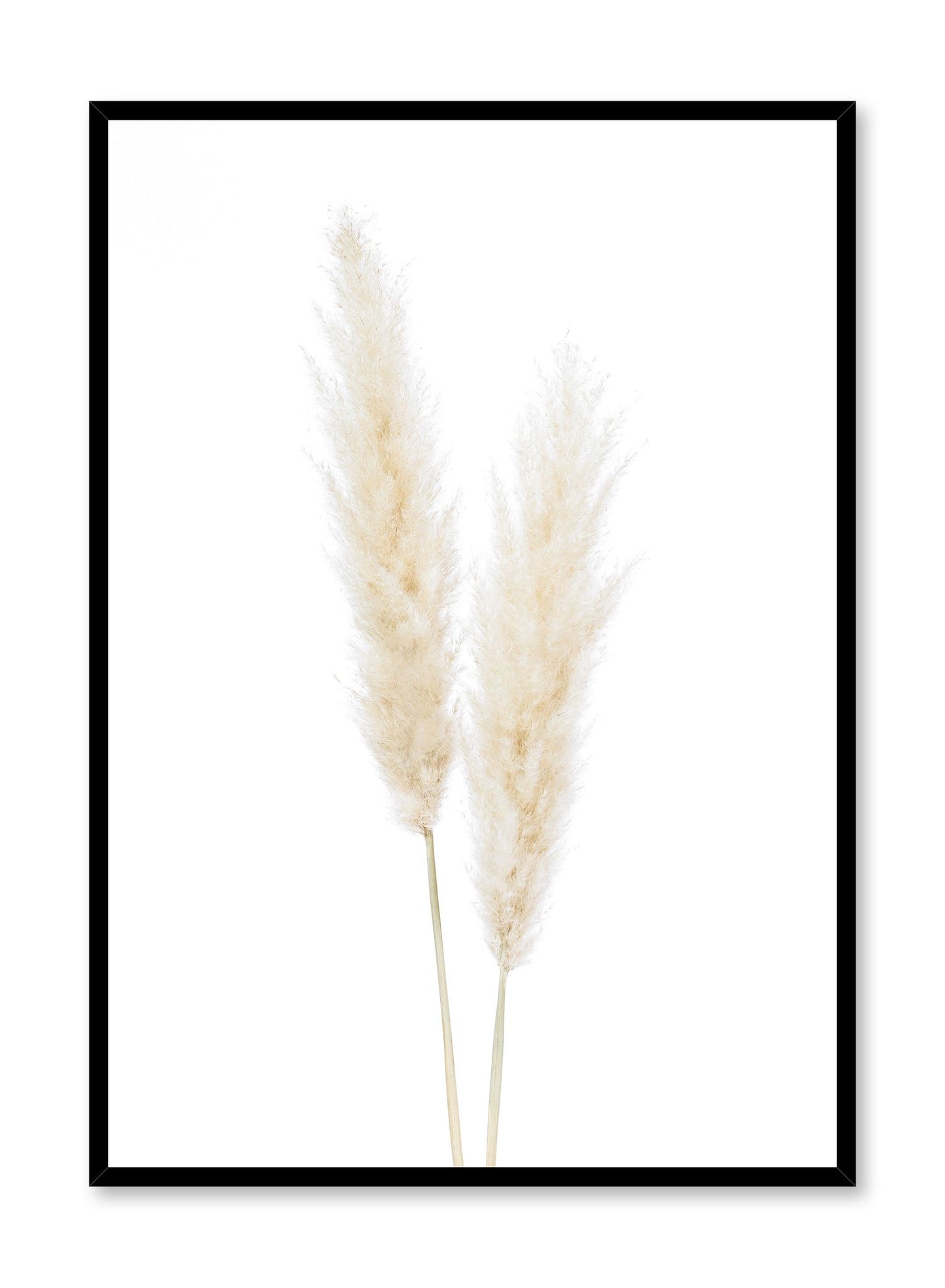 Minimalistic wall poster by Opposite Wall with grasses botanical photography