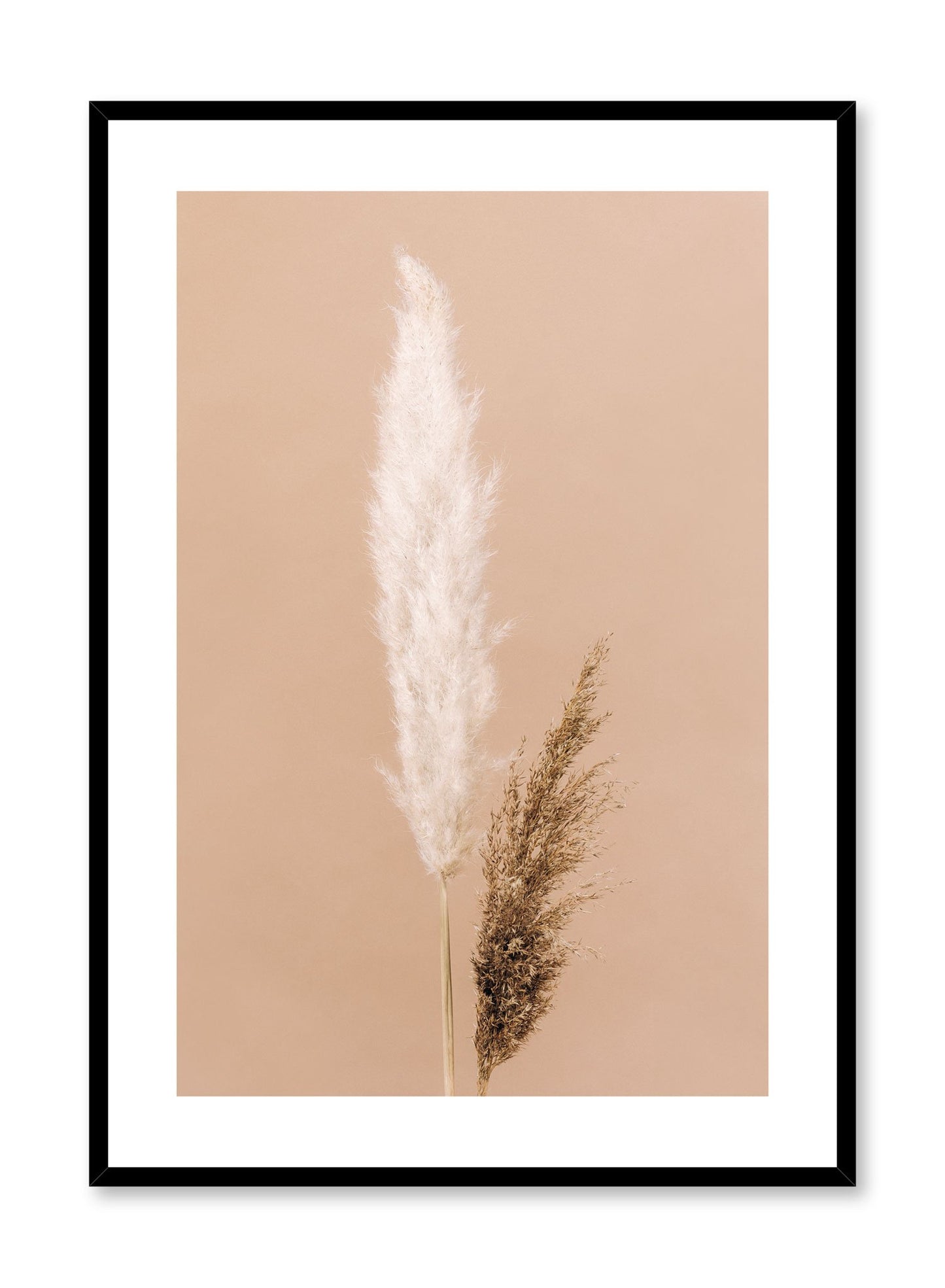 Minimalist wall poster by Opposite Wall with two-toned grasses botanical photography