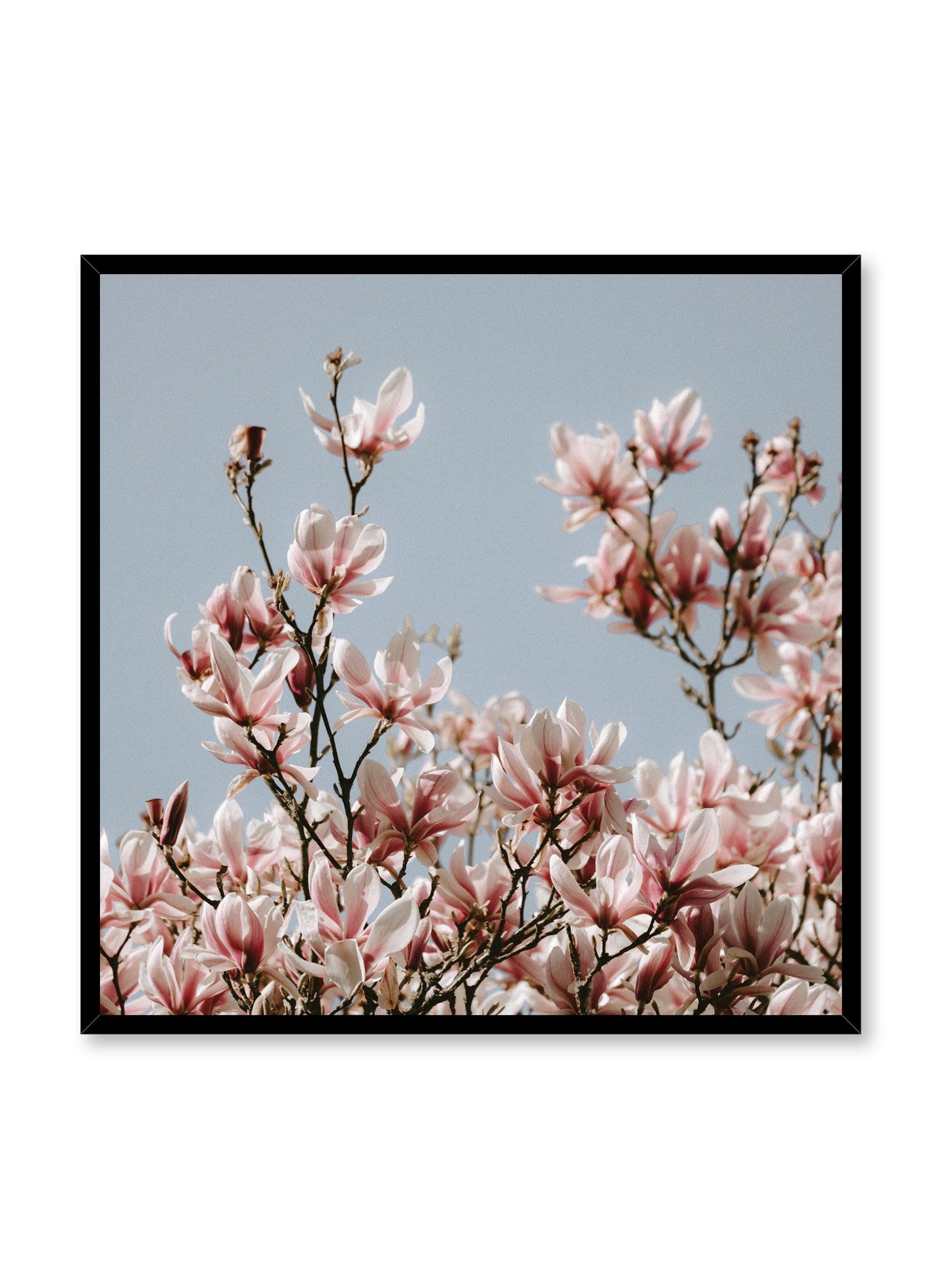 Minimalist design poster by Opposite Wall with Soaring Flowers floral photography