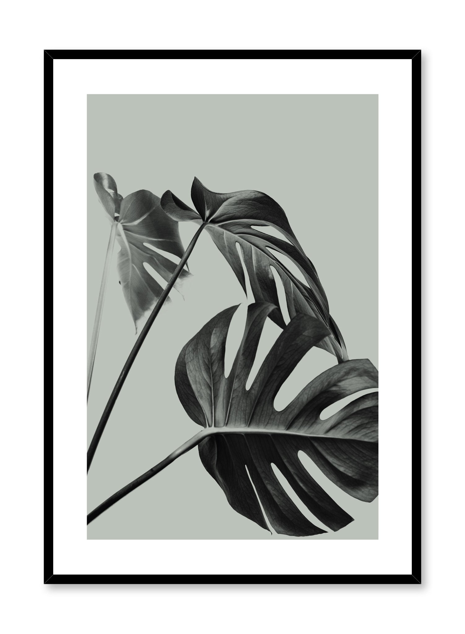 Scandinavian art print by Opposite Wall with with Monstera leaf photo Three's a charm in green