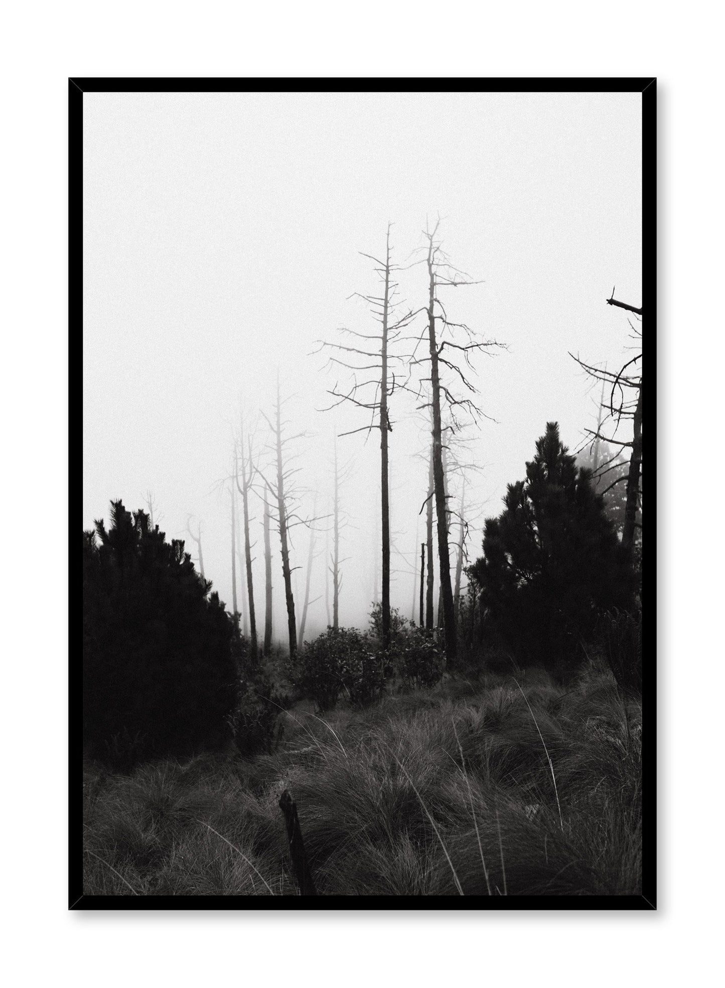 Modern minimalist black and white photography by Opposite Wall of Acatenango Volcano in Guatemala