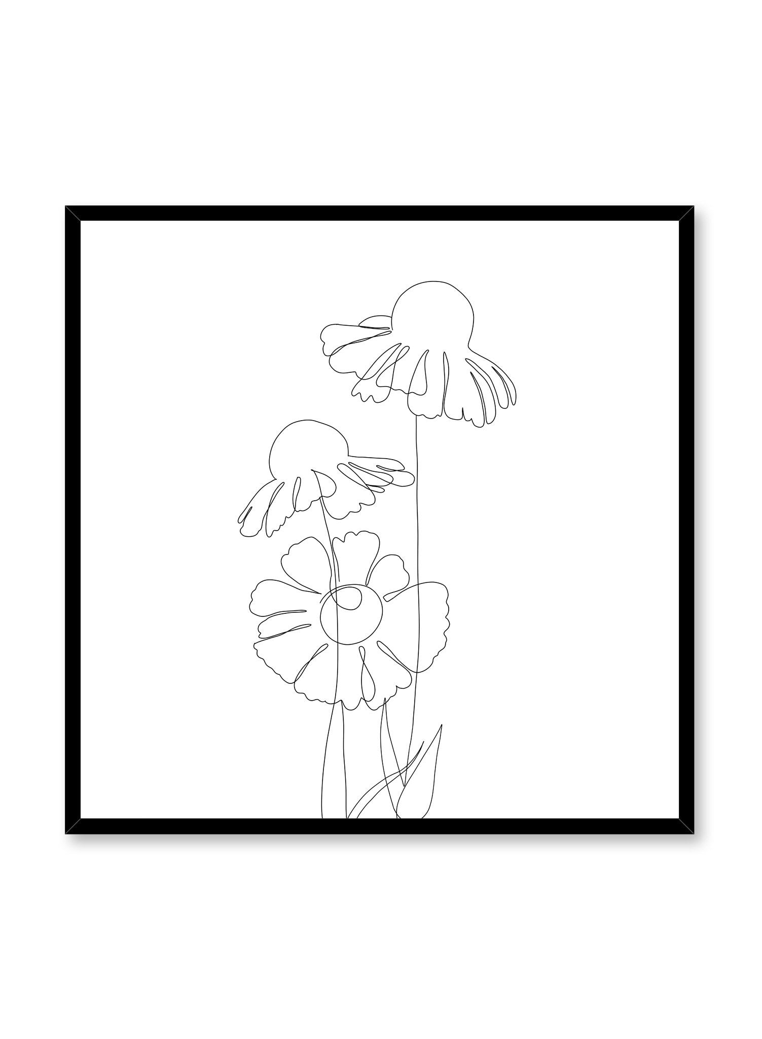 Modern minimalist delicate line art poster by Opposite Wall - Coneflower