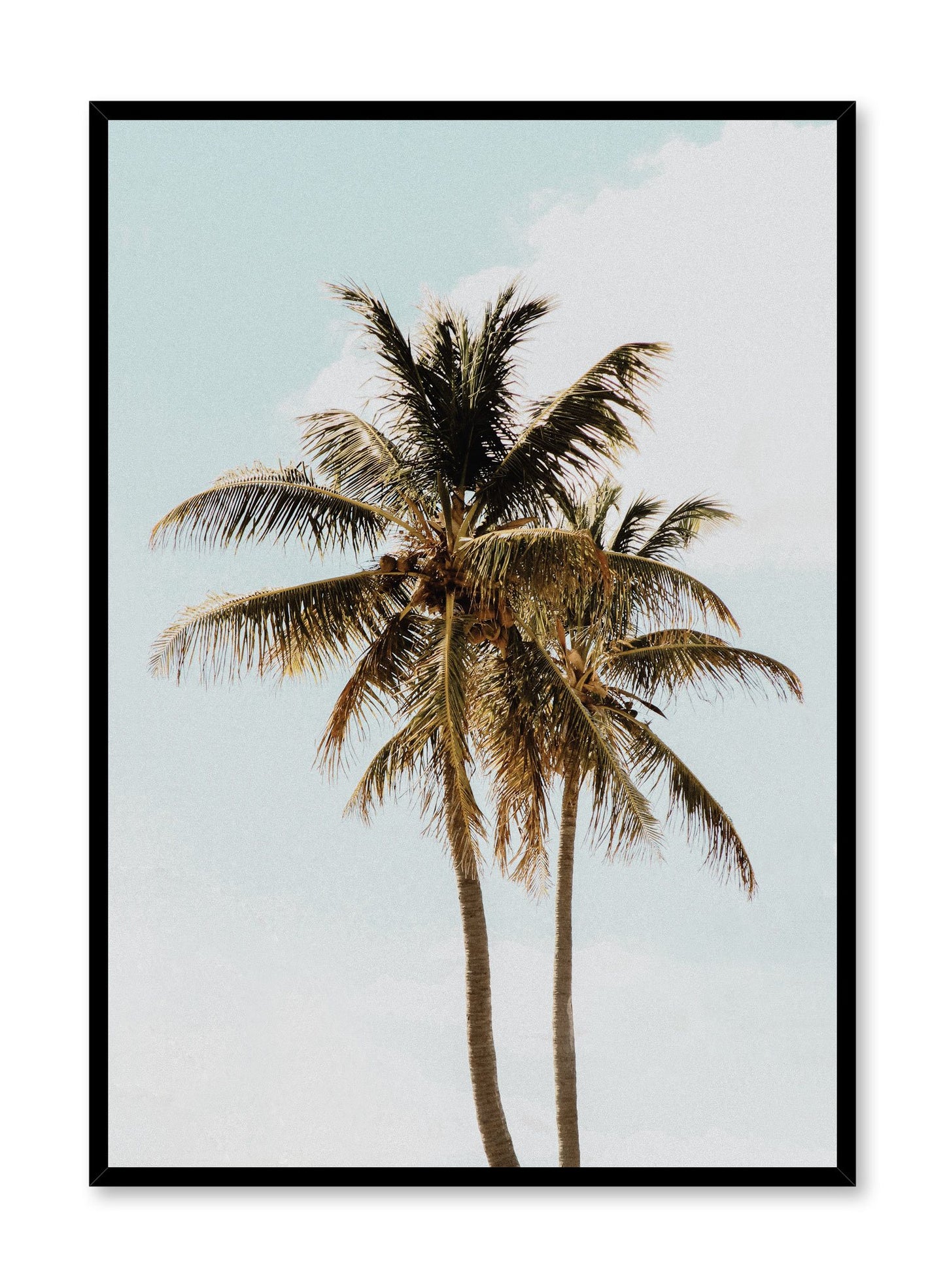 Modern minimalist photography poster by Opposite Wall with palm tree against blue sky