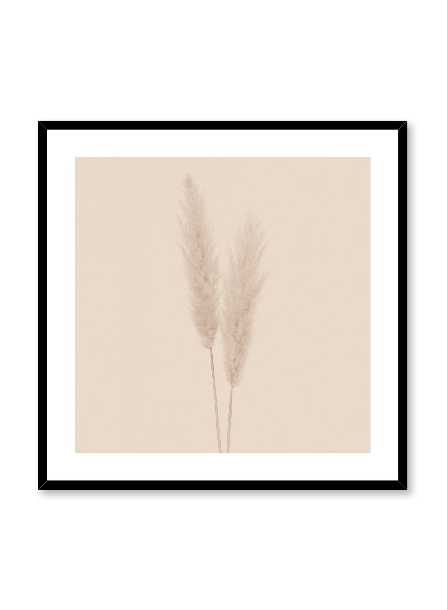 Minimalistic wall poster by Opposite Wall with grasses botanical photography in beige