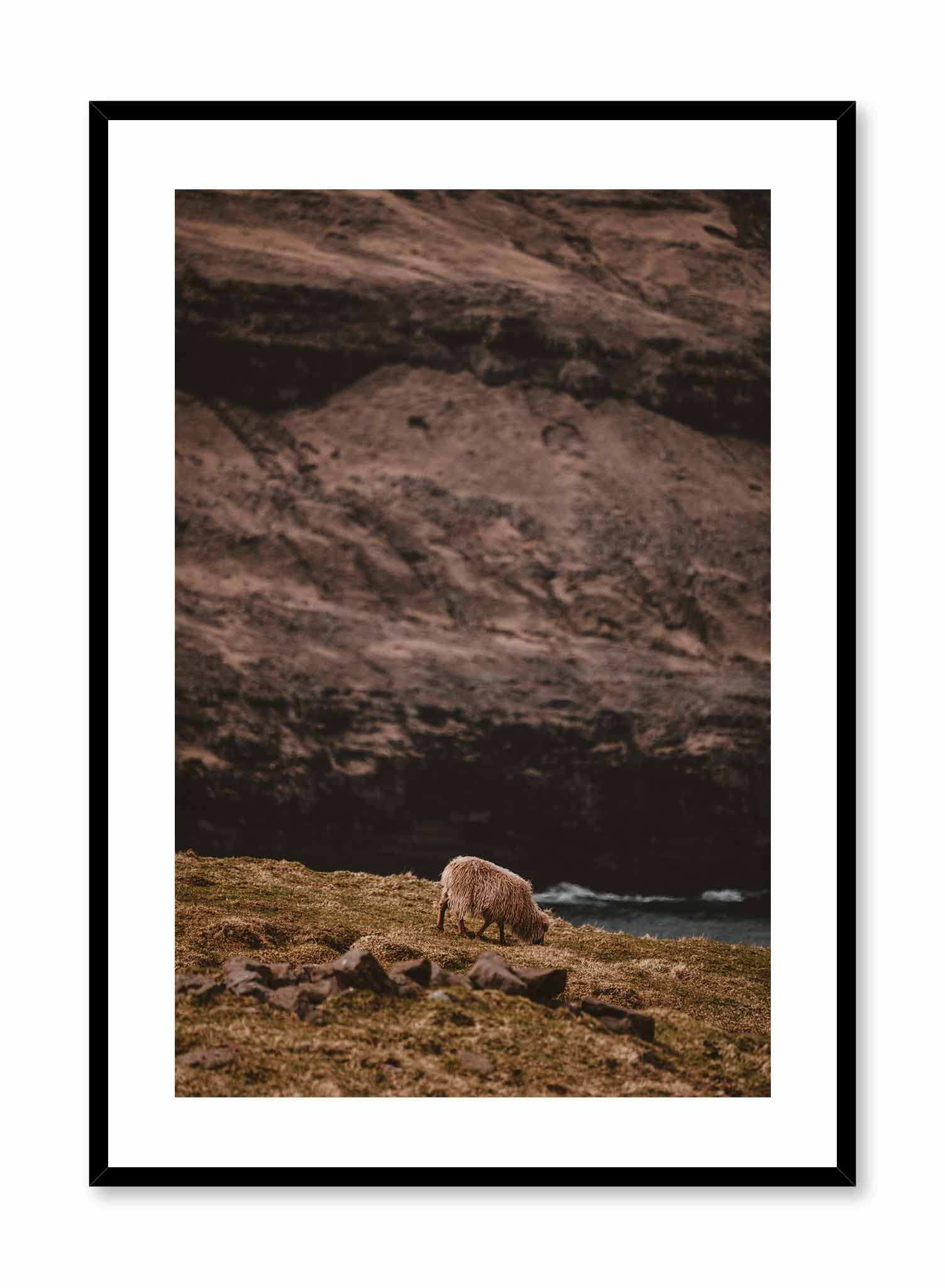 Wandering Sheep' is a landscape photography poster by Opposite Wall of a lone white sheep wandering in green grass by a river and a tall rocky cliff.