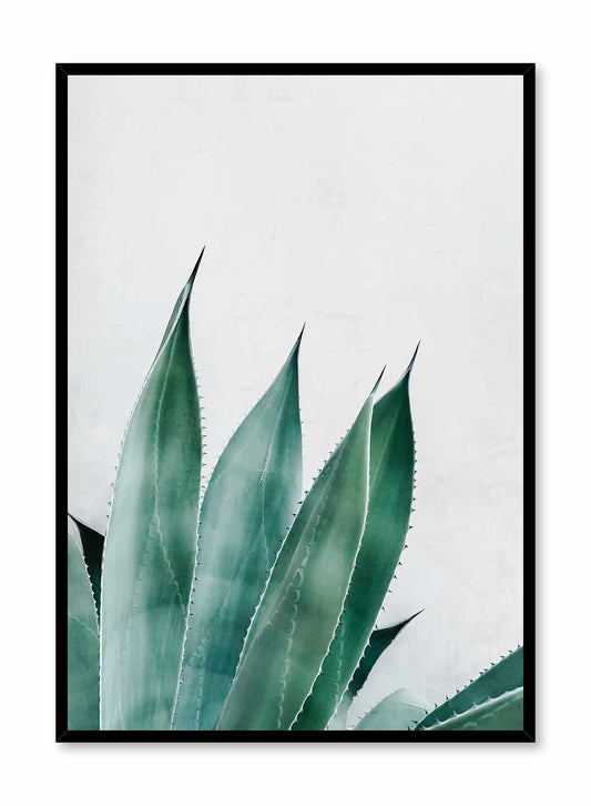 Prickly Leaves is a minimalist photography poster of a prickly green succulent by Opposite Wall.