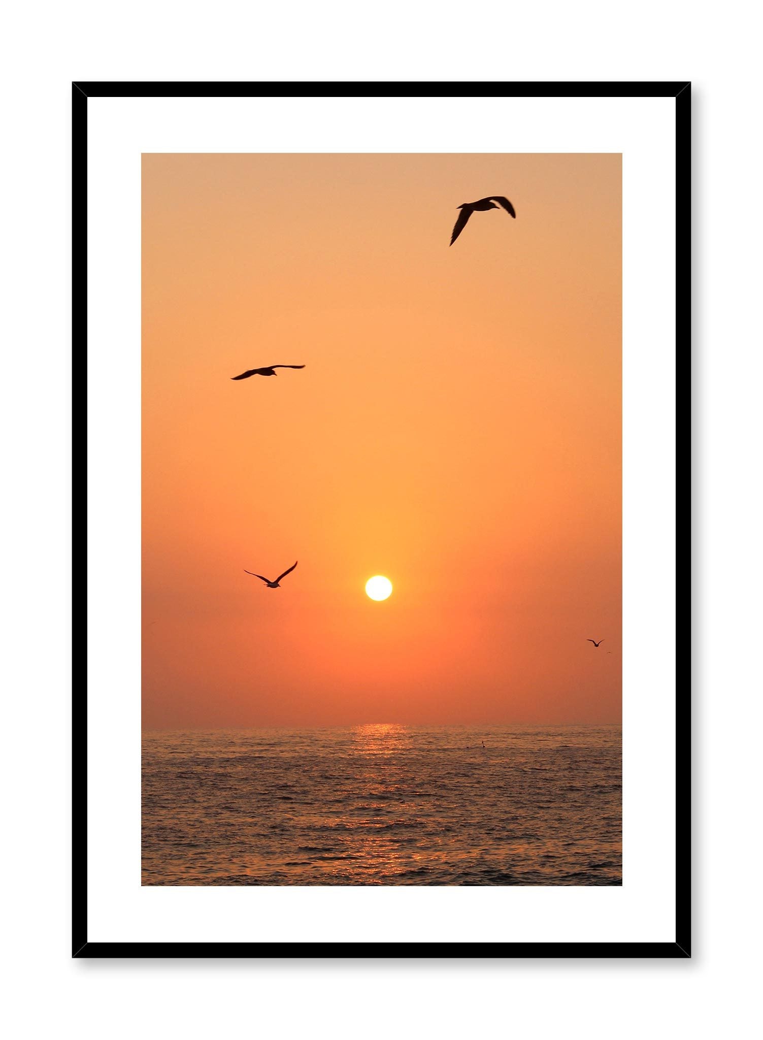 Flying into the Sunset is a minimalist photography of a scenery where three birds are flying above the sea as the orange sun sets by Opposite Wall.