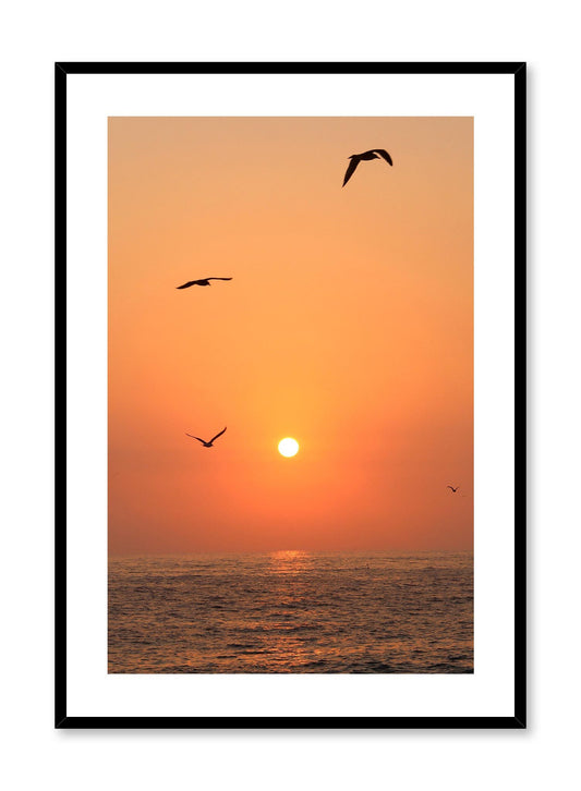 Flying into the Sunset is a minimalist photography of a scenery where three birds are flying above the sea as the orange sun sets by Opposite Wall.