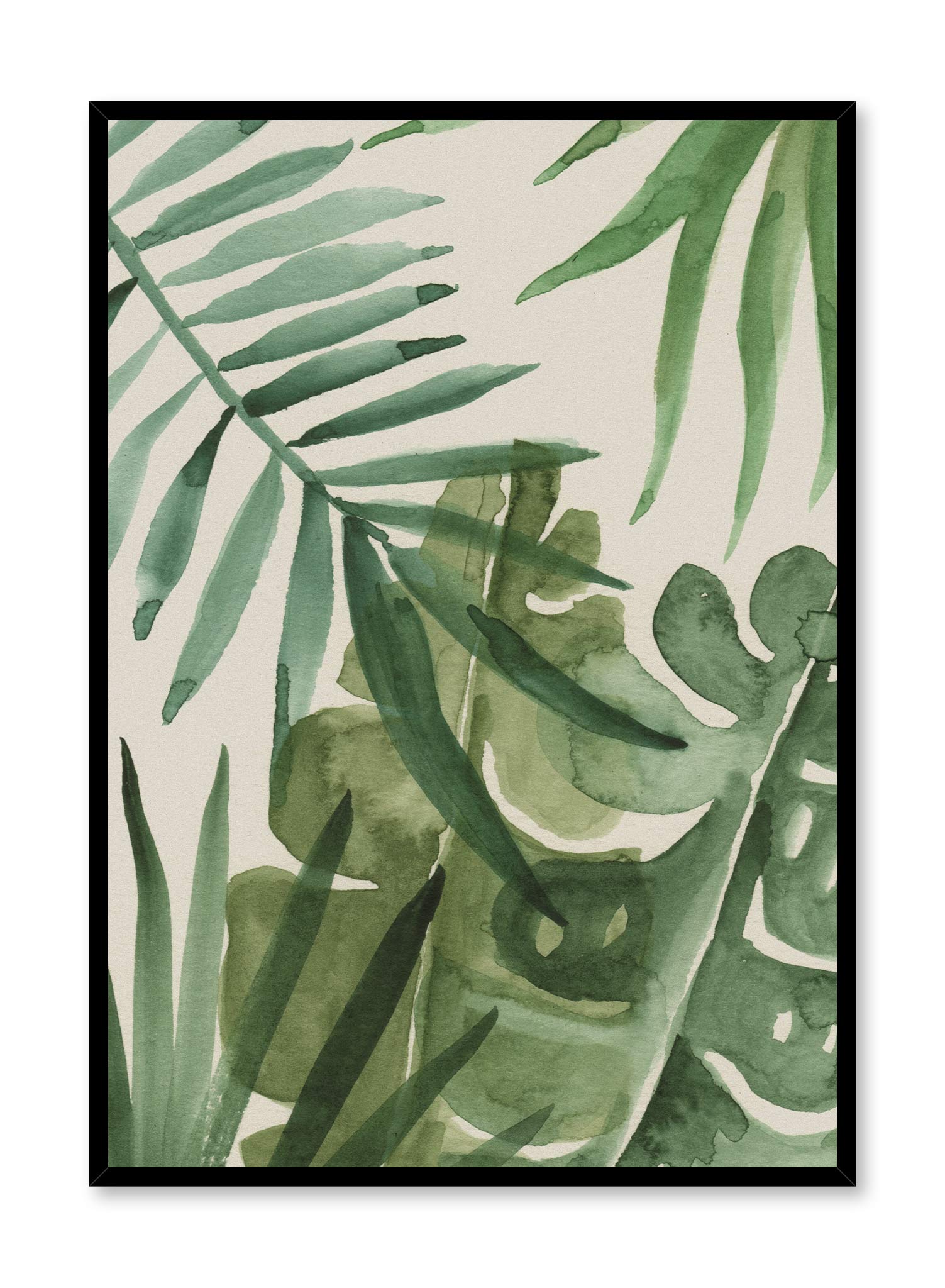 Watercolour Jungle is a minimalist illustration of leaves of various plants that can be found in the jungle drawn by watercolour by Opposite Wall.