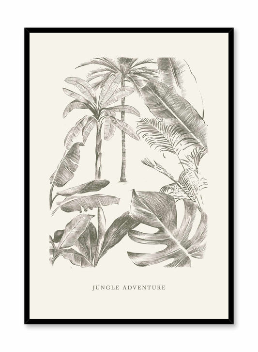 Jungle Adventure is a minimalist illustration of a collection of plants inviting the observer into the jungle accompanied with the words "Jungle Adventure" at the bottom by Opposite Wall.