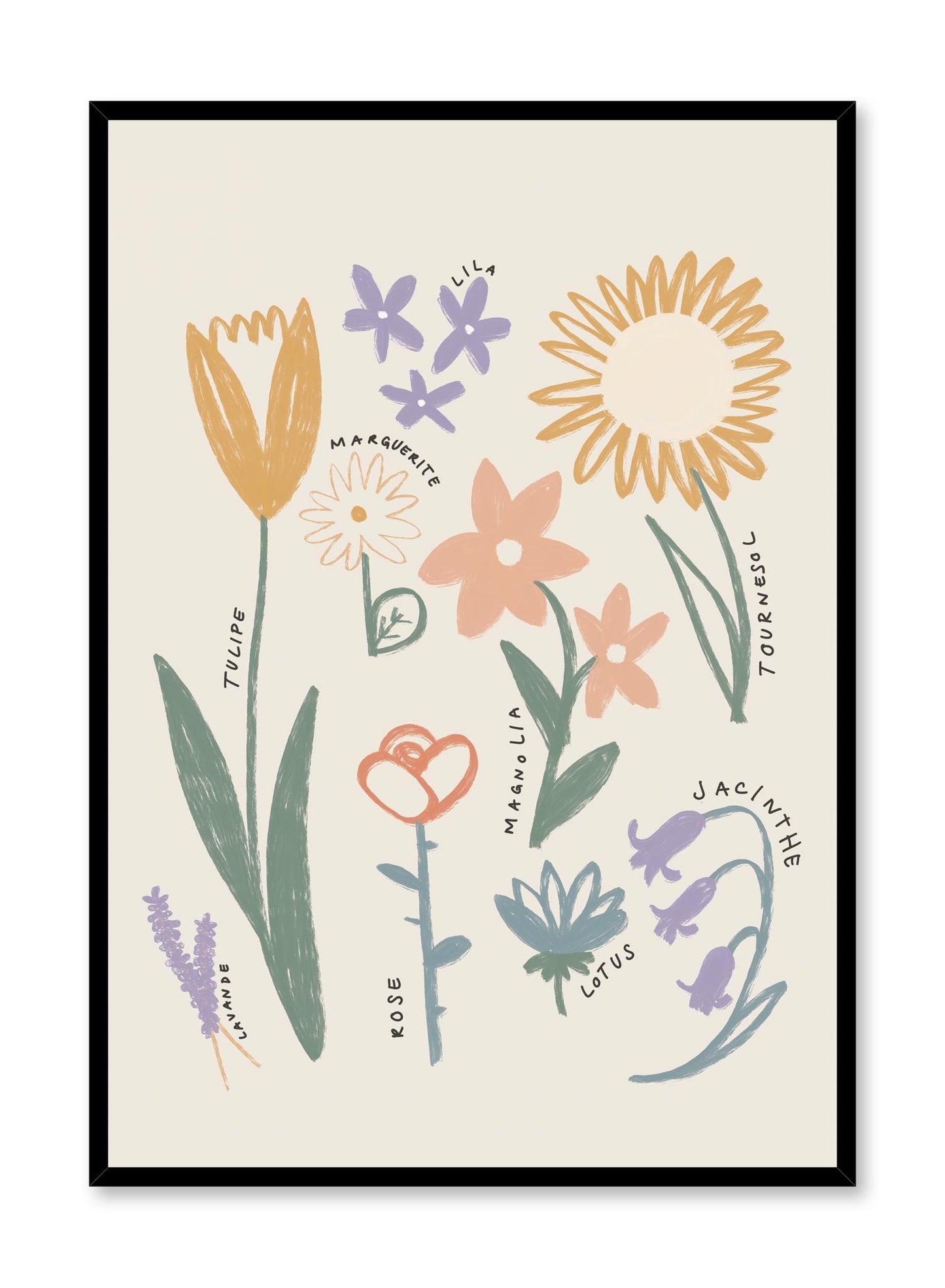 Little Gardener’s Guide in French is a minimalist illustration by Opposite Wall of various types of commonly found flowers with their names in French.