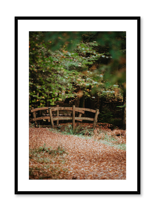 Woodland Bridge is a minimalist photography by Opposite Wall of a path covered in red leaves leading to a short and small arched bridge in the forest.