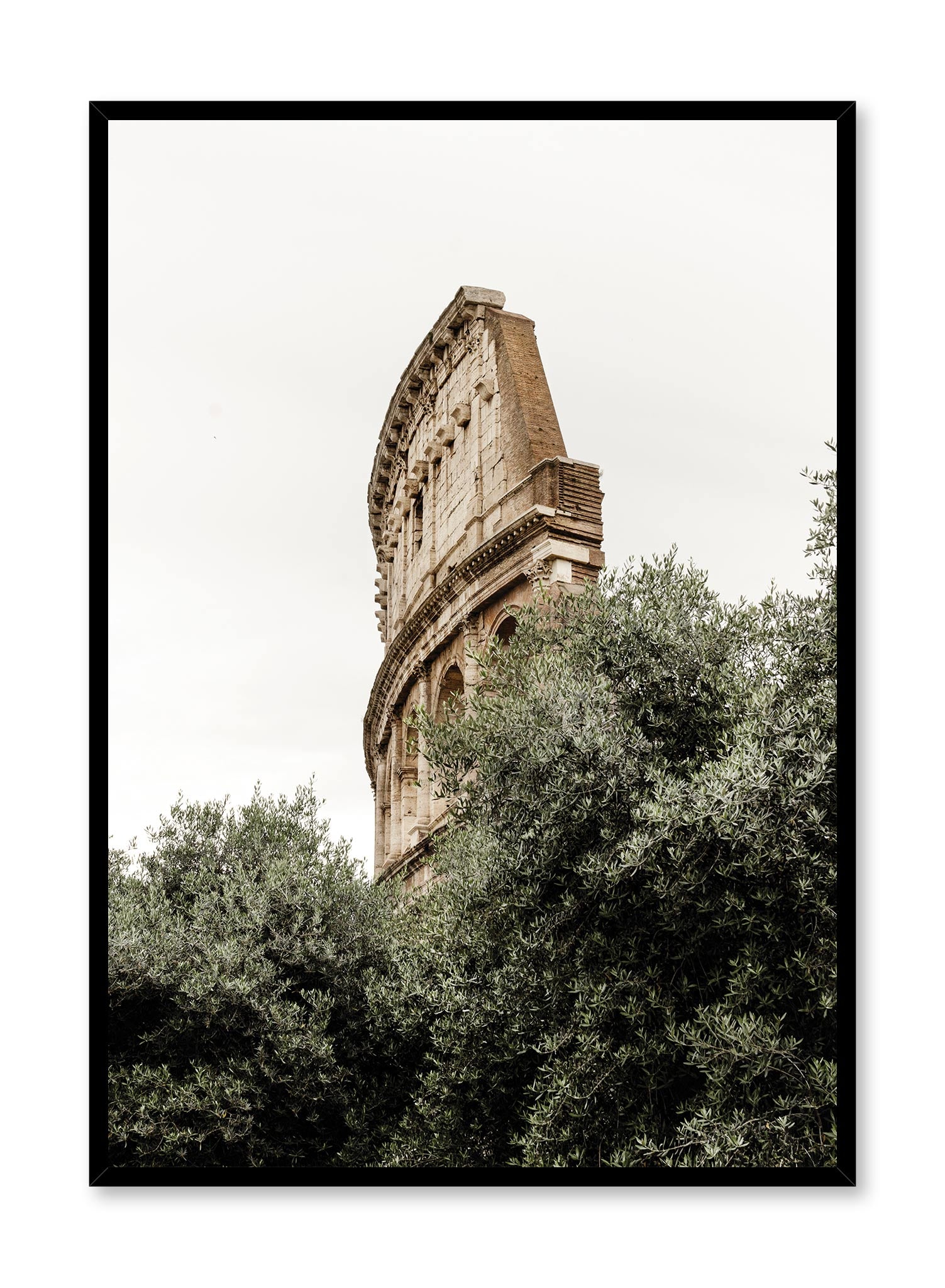 Colosseo Photography, Poster | Oppositewall.com