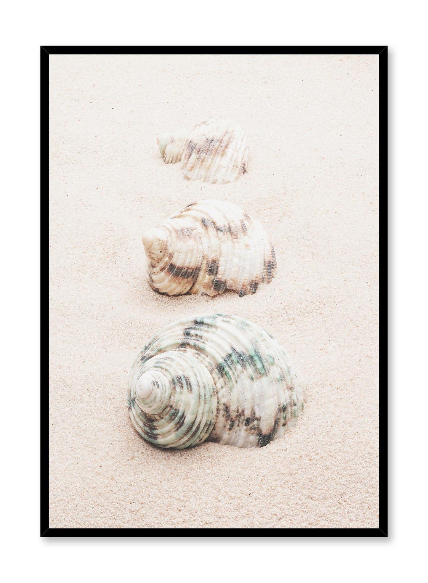 Seashell Road, Poster