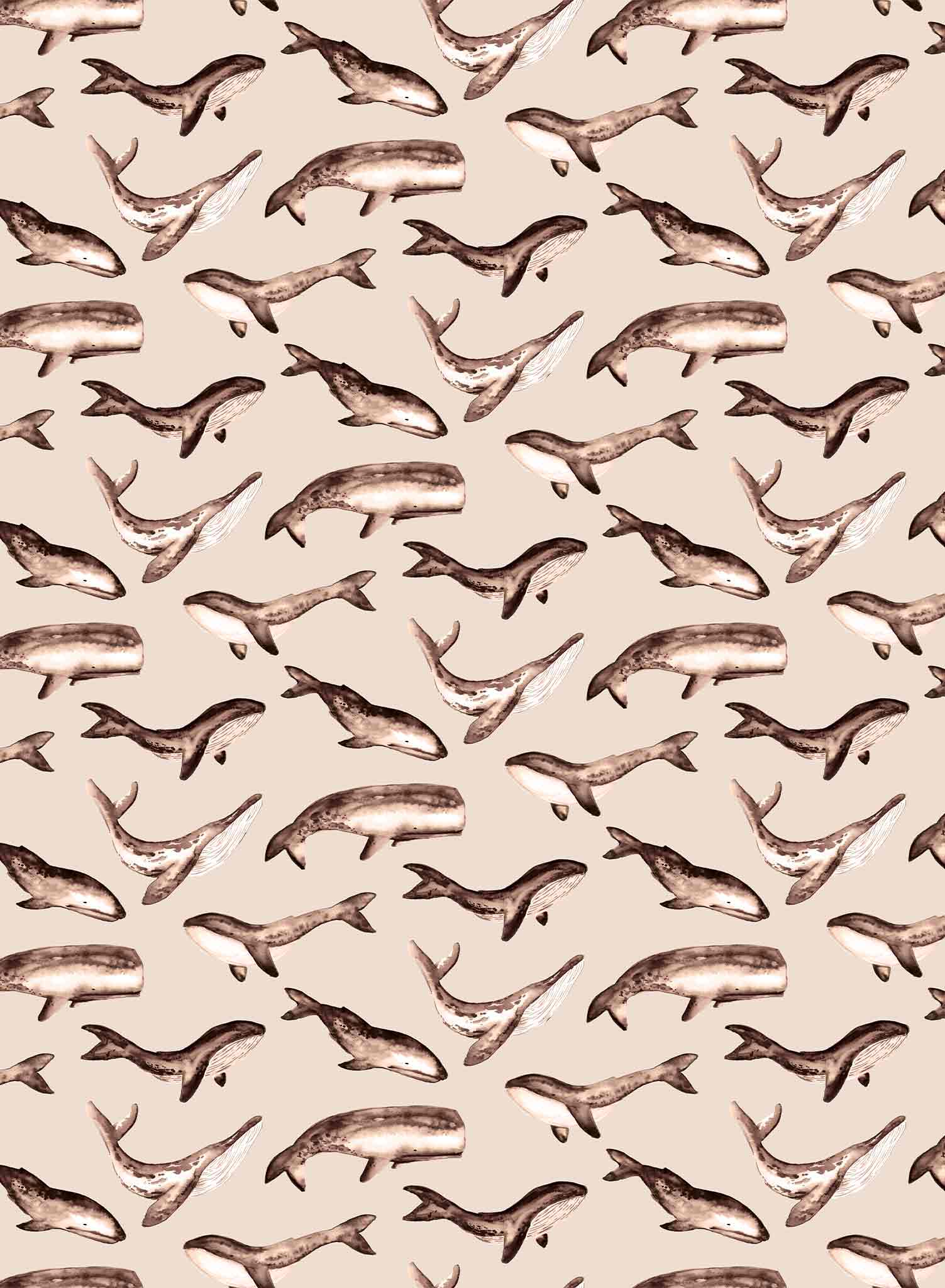 Whale Tale is a minimalist wallpaper by Opposite Wall of a collection of various whale types.