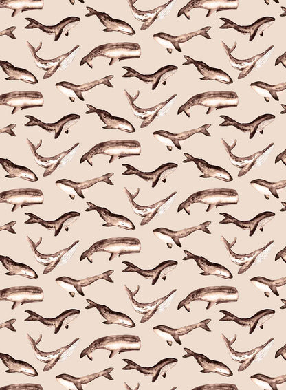 Whale Tale is a minimalist wallpaper by Opposite Wall of a collection of various whale types.