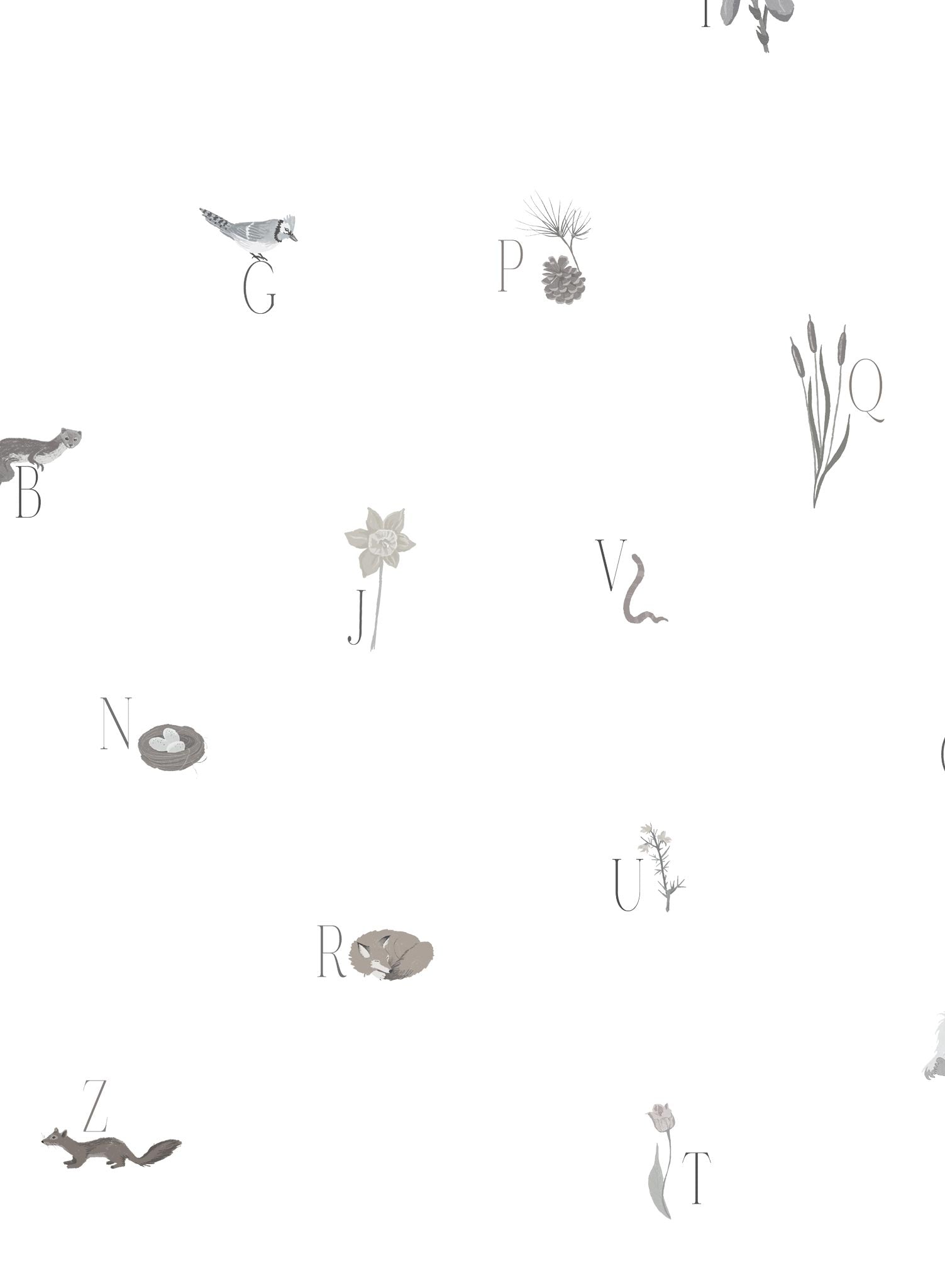 Woodland Lesson in French is a Minimalist wallpaper by Opposite Wall of an alphabet with an animal & forest them