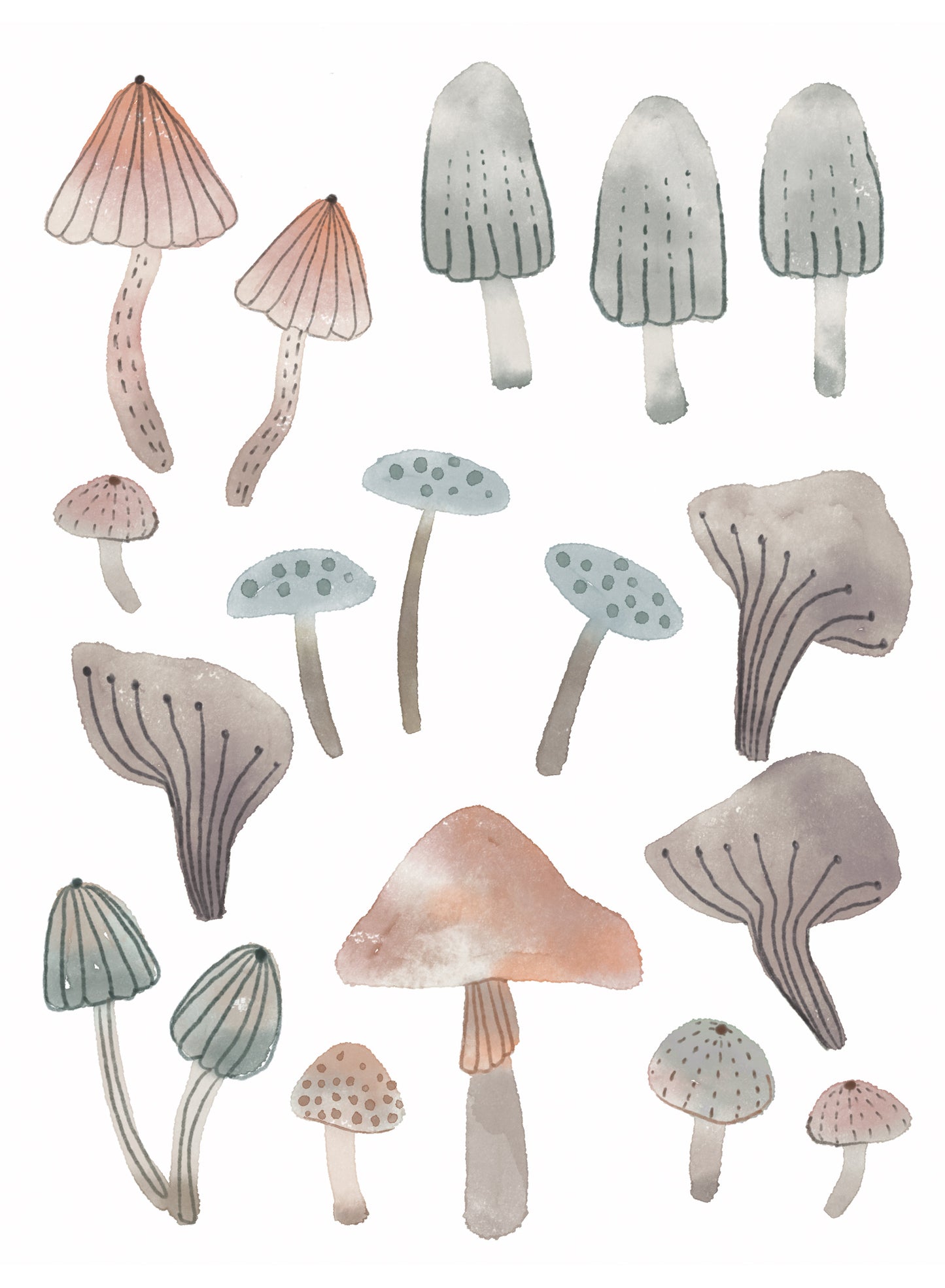 Funky Funghi, Decal